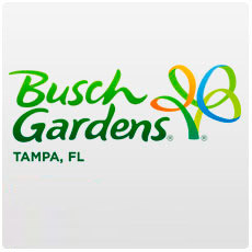 Busch Gardens Tampa Single Day - Acima de 3 anos